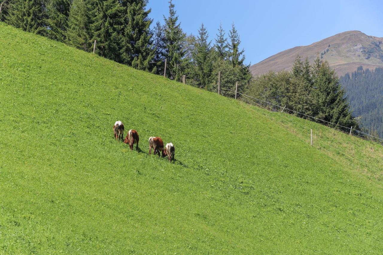Apartmán Landhaus Hinterglemm Saalbach-Hinterglemm Exteriér fotografie